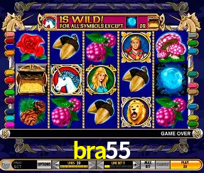 Descubra a Magia dos Jogos de Arcade no bra55