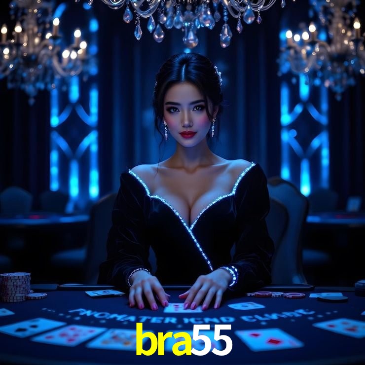 Login Seguro bra55