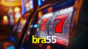 Design Responsivo bra55