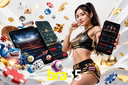 API Integration bra55