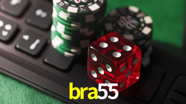 Security Systems bra55